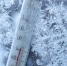 Экстренное предупреждение на 16.01.2026 г. - Рыбно-Cлободский район